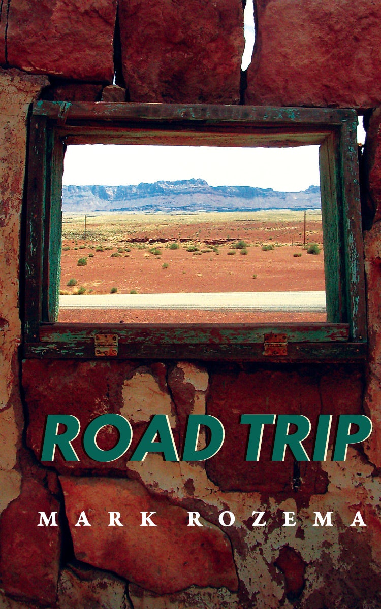 Book cover image for Road Trip ISBN: 9781597095310